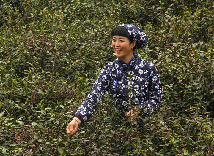 热荐4